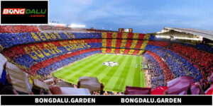 Football Pitch Và 7 Điều Quan Trọng Người Hâm Mộ Cần Biết