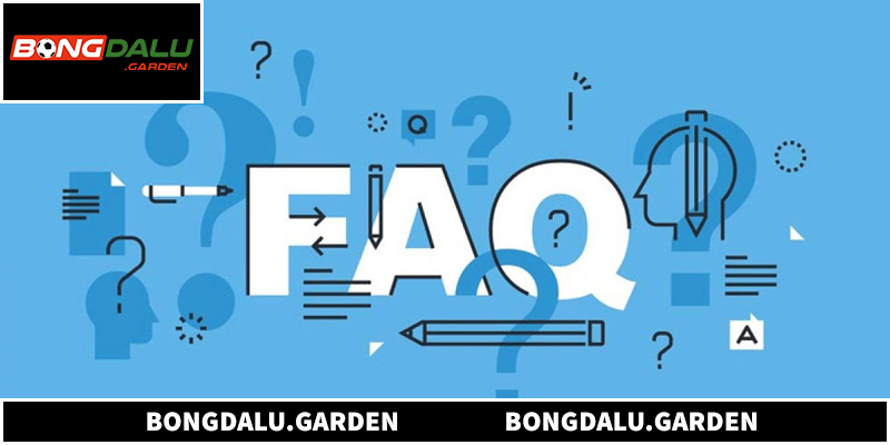 Hướng dẫn giúp xây dựng chuyên mục FAQ tối ưu