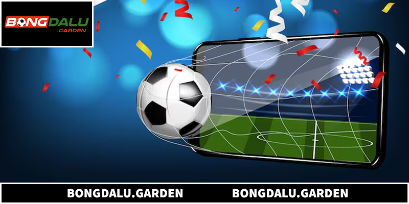 Những điều cần quan tâm khi tham gia Bongdalu