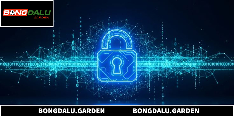 Những hình thức bảo vệ dữ liệu hiện nay