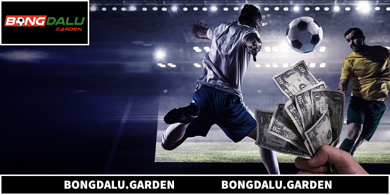 Những lợi thế giúp Bongdalu nổi trội