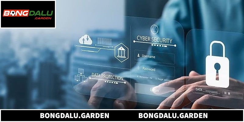 Tổng quan chính sách quyền riêng tư
